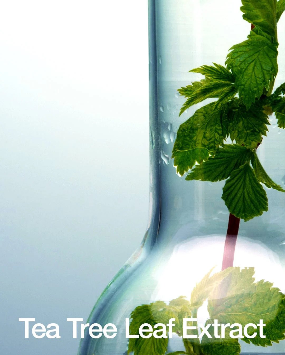 Anua Bha Exfoliating Toner - MeStore - Anua