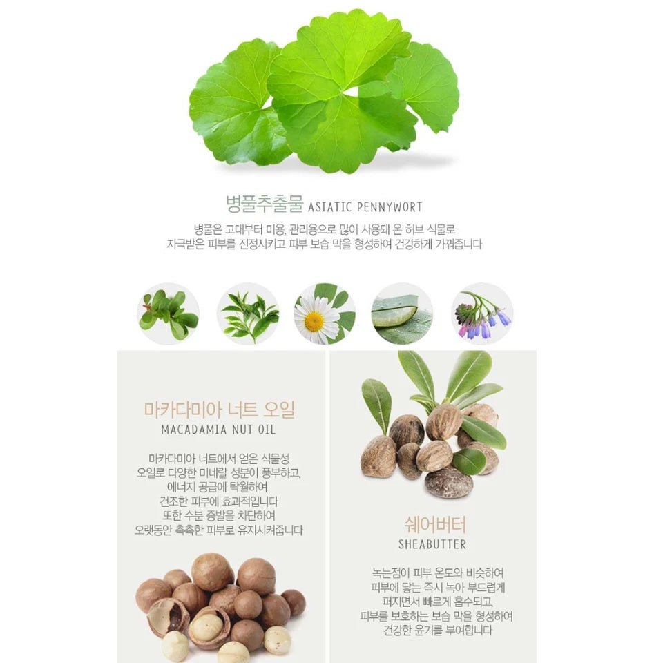 Medi Flower The Secret Garden of Five Hand Cream Set - MeStore - Medi Flower