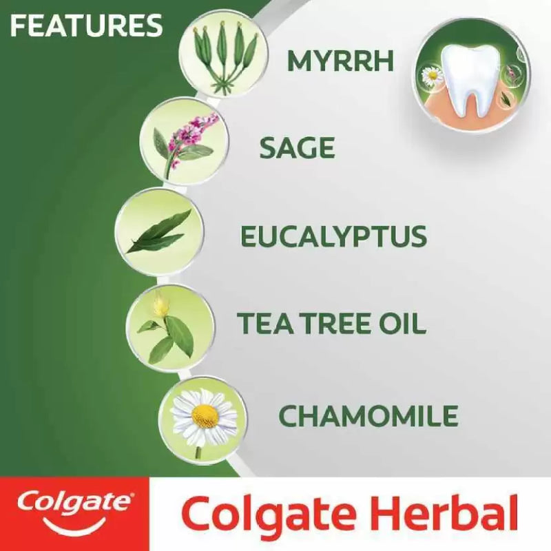 Colgate Herbal 100Ml Import