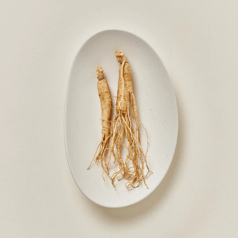 Beauty of Joseon Ginseng Sun Serum SPF50+ PA++++ - MeStore - Beauty of Joseon