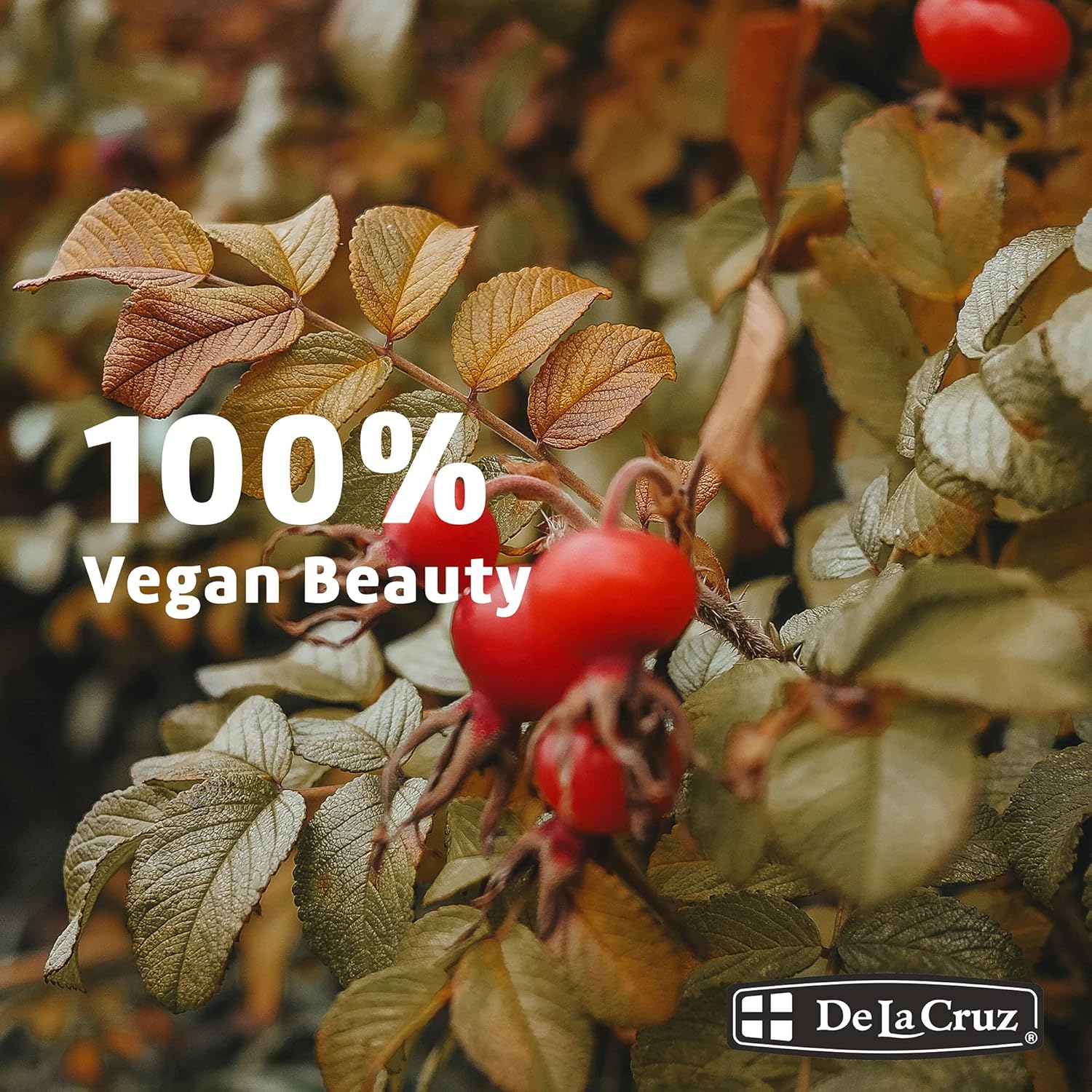 DE LA CRUZ ROSEHIP OIL w/ DROPPER 1 fl. oz. - MeStore - DE LA CRUZ