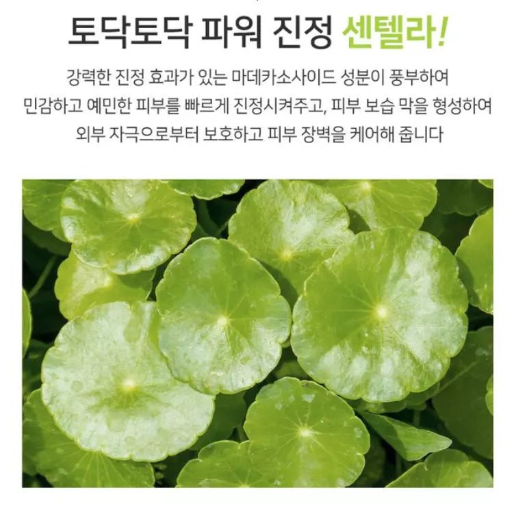 Medi Flower Centella Asiatica PHA Peeling Pad 60pc/180ml - MeStore - Medi Flower