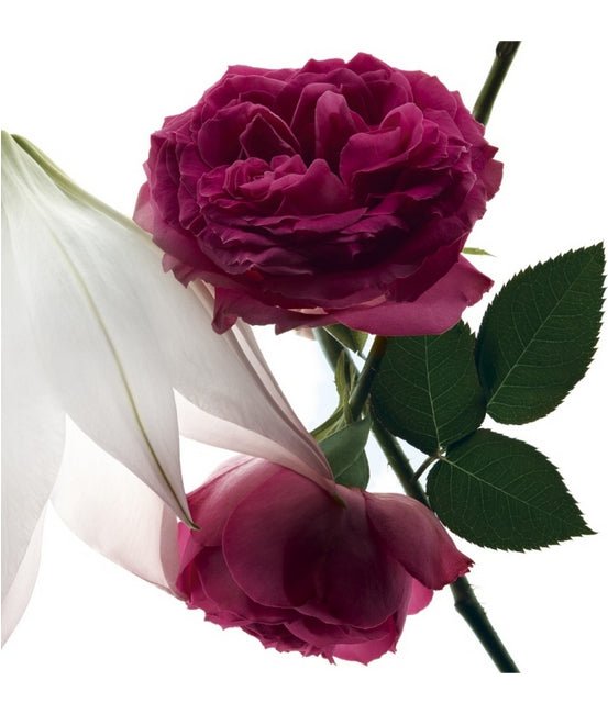 YSL Mon Paris Eau de Parfum Intensément, 3.04 oz - MeStore - YSL